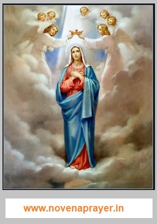 NOVENA TO IMMACULATE CONCEPTION